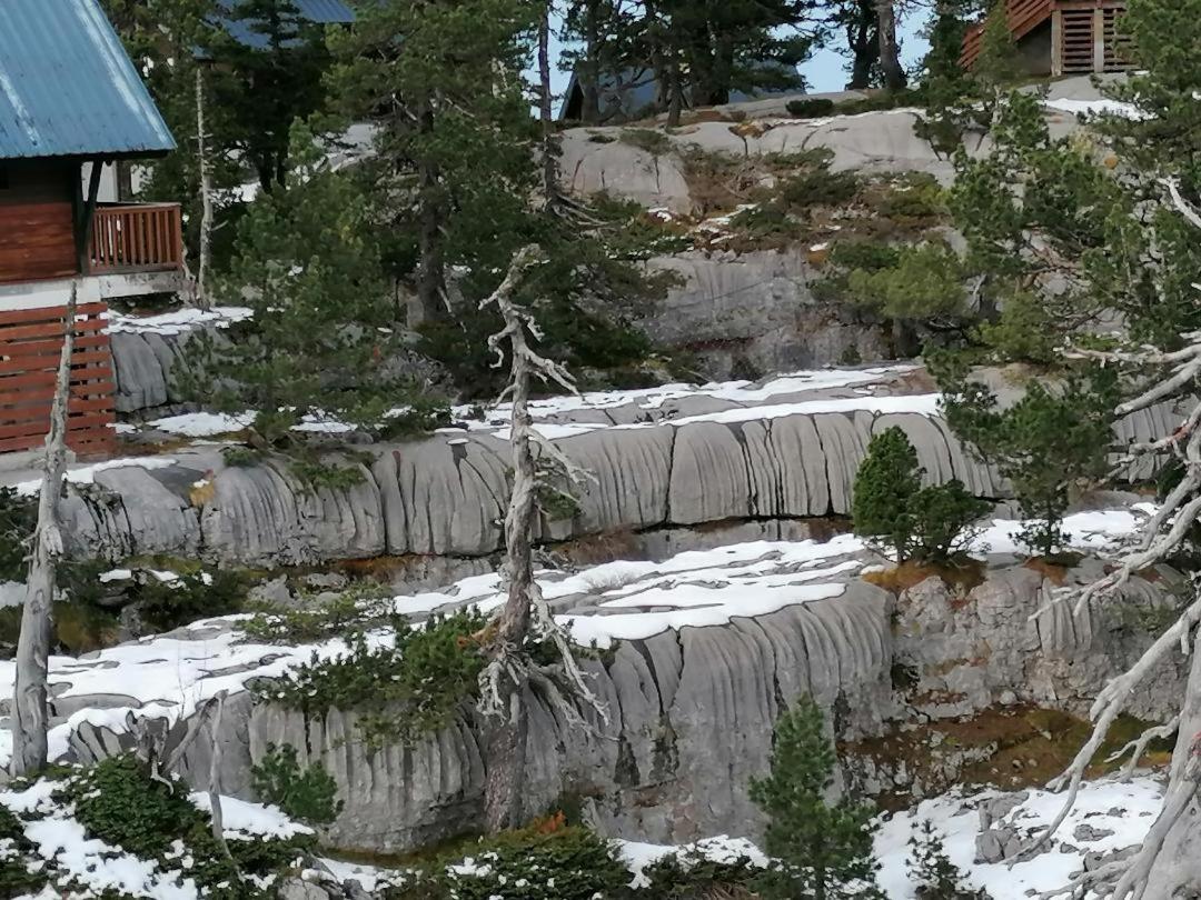 Studio Montagne A La Pierre St Martin อเรตต์ ภายนอก รูปภาพ